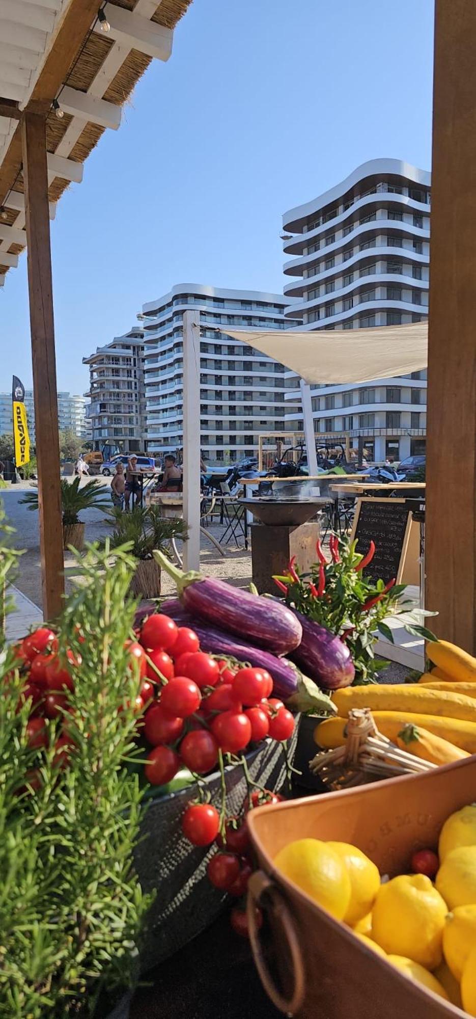 Eva Del Mar - Sea View - Mamaia Nord Lejlighed Eksteriør billede